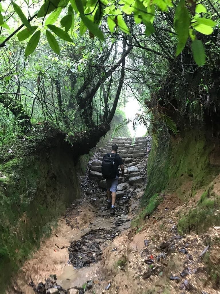 Misty mountain forest trail