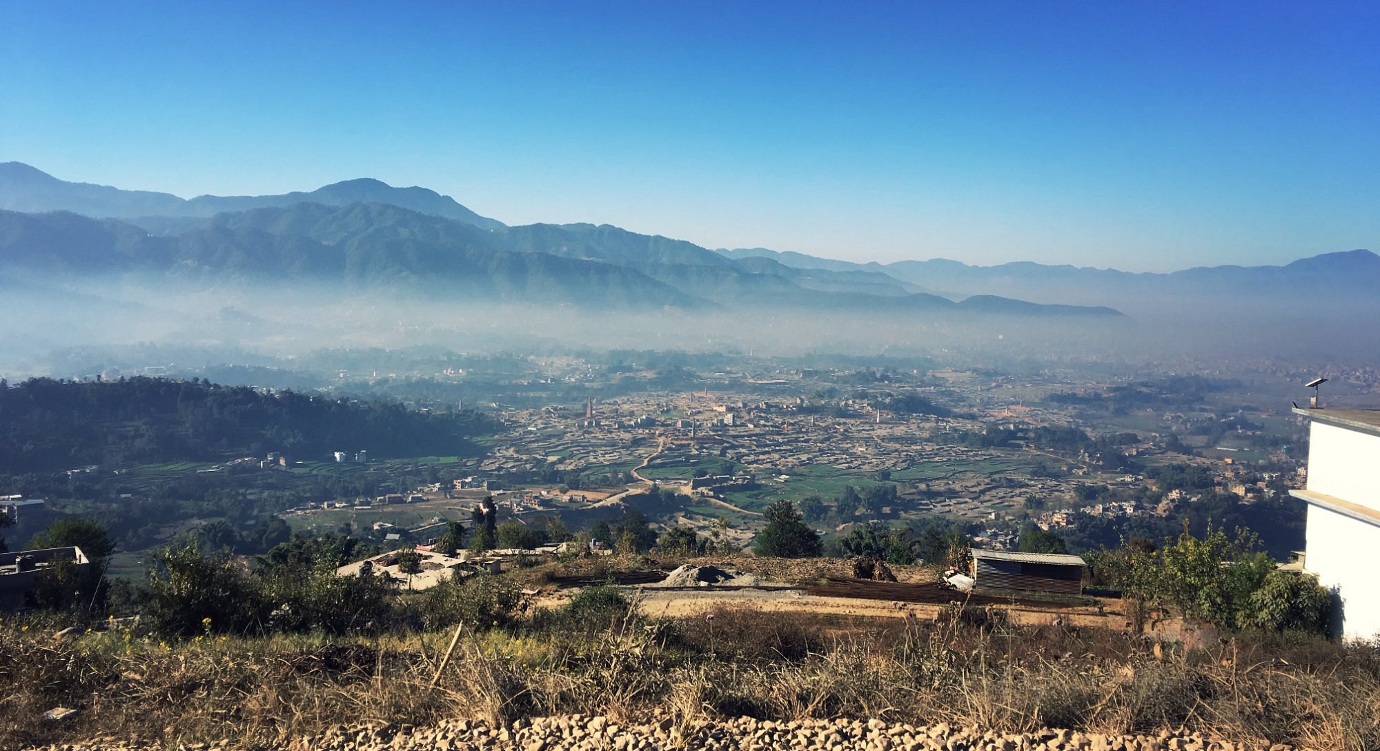 Mountain valley with pine trees